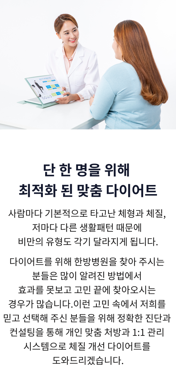 맞춤 다이어트